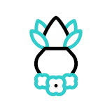 pujaunit