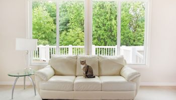 Latest Window Designs for House